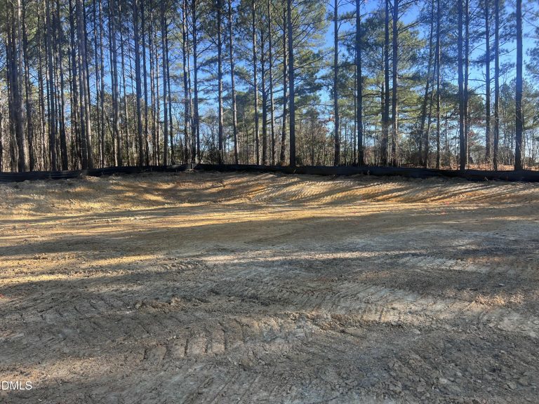 Cleared Lot